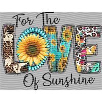 Valentine's Day-QRJ  884